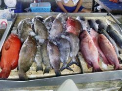 126 Thailand 2015 best of